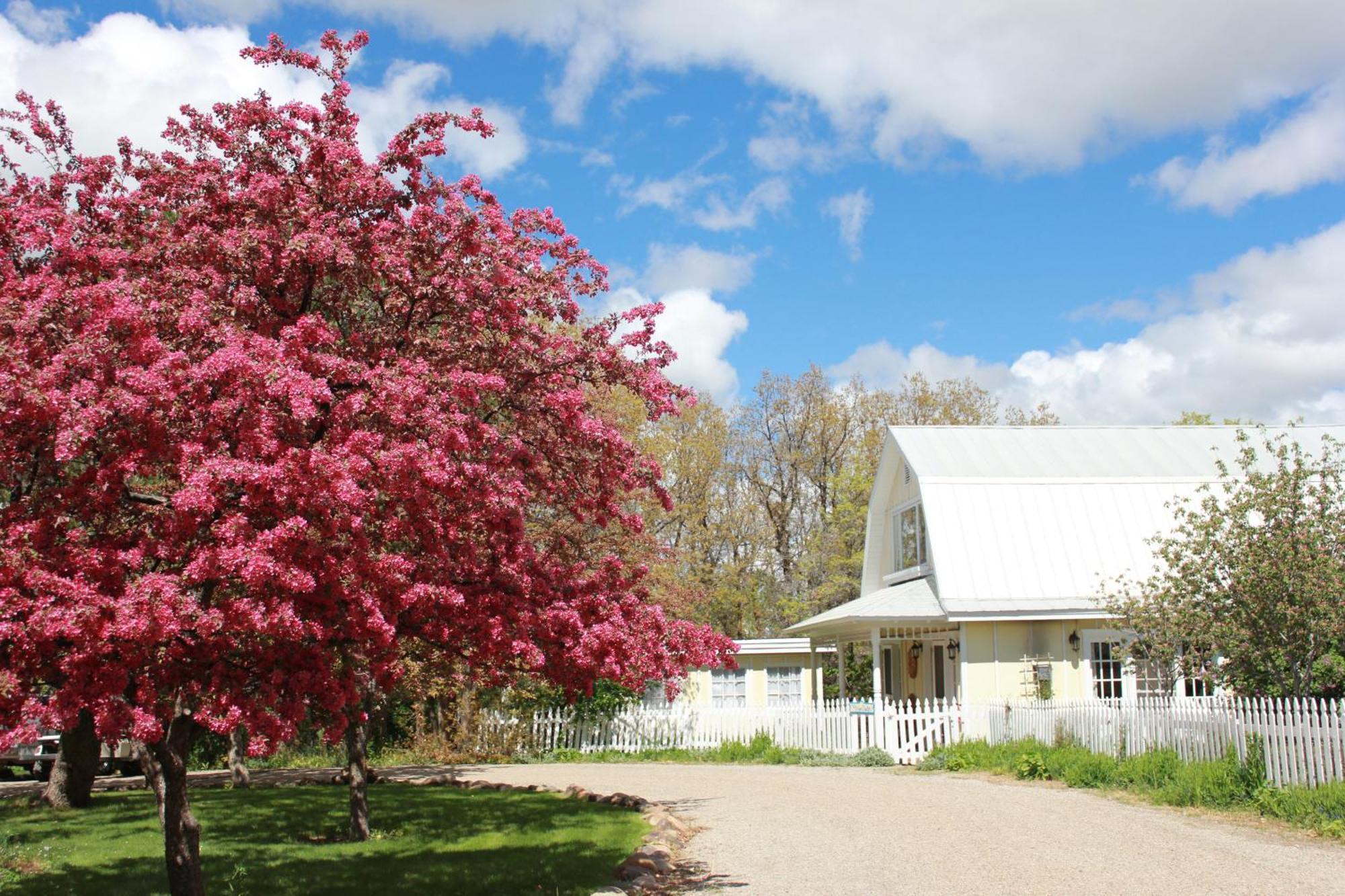 Blue Lake Ranch Hesperus Екстериор снимка