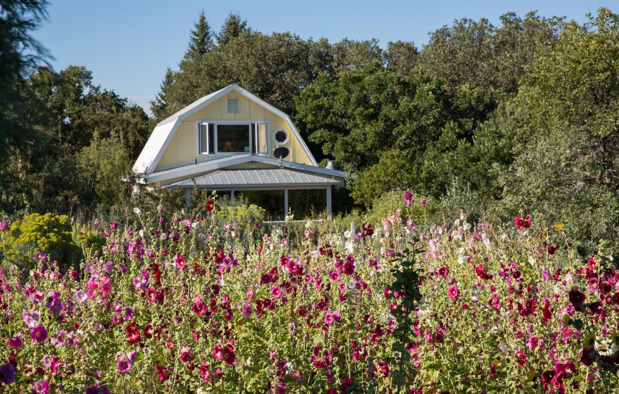 Blue Lake Ranch Hesperus Екстериор снимка
